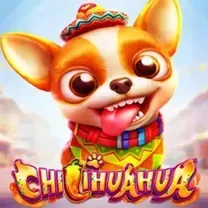 PlayFortuna Casino: Login E Cadastro Grátis