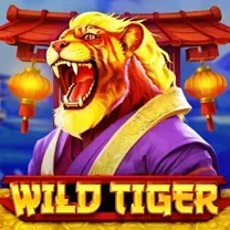 WIN444